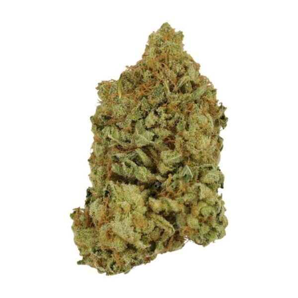 Blueberry | Coast to Coast Medicinals Canada