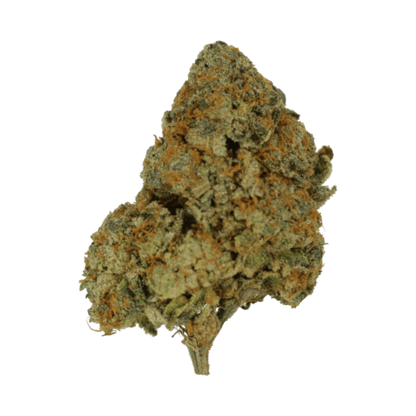 9lb Hammer | Coast to Coast Medicinals Canada