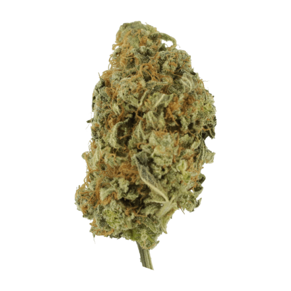 Lollypop – 1 ounce | Coast to Coast Medicinals Canada