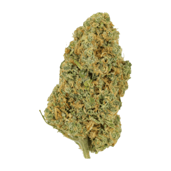 Lemon Bomb | Coast to Coast Medicinals Canada