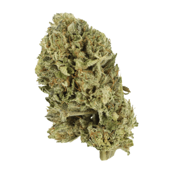 Purple OG Kush – 1 ounce | Coast to Coast Medicinals Canada