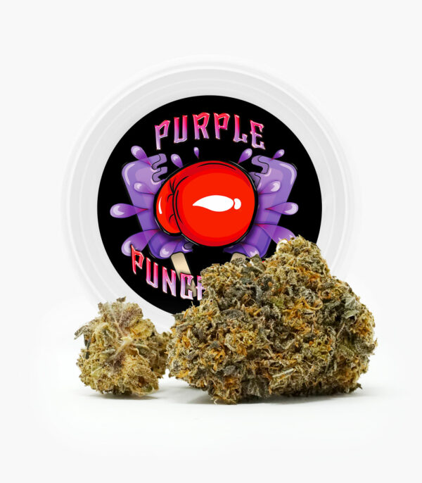 Westcoast Cali Tins – Premium Flower – Purple Punchsicle – 14g | Coast to Coast Medicinals Canada