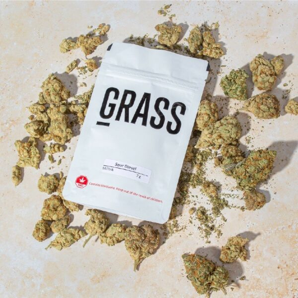 1/2OZ Sample Pack (AAA) – SAVE 20% | Coast to Coast Medicinals Canada