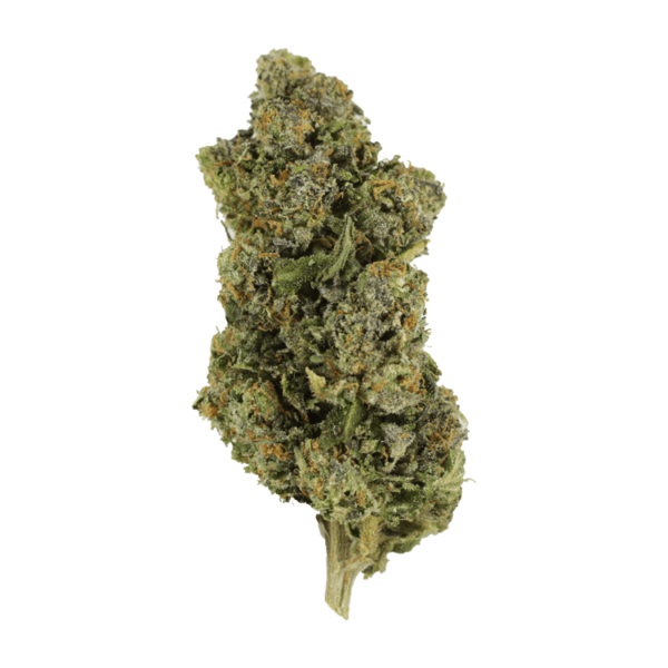Jokerz | Coast to Coast Medicinals Canada
