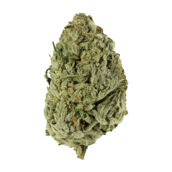 Lemon Meringue 1 Ounce | Coast to Coast Medicinals Canada