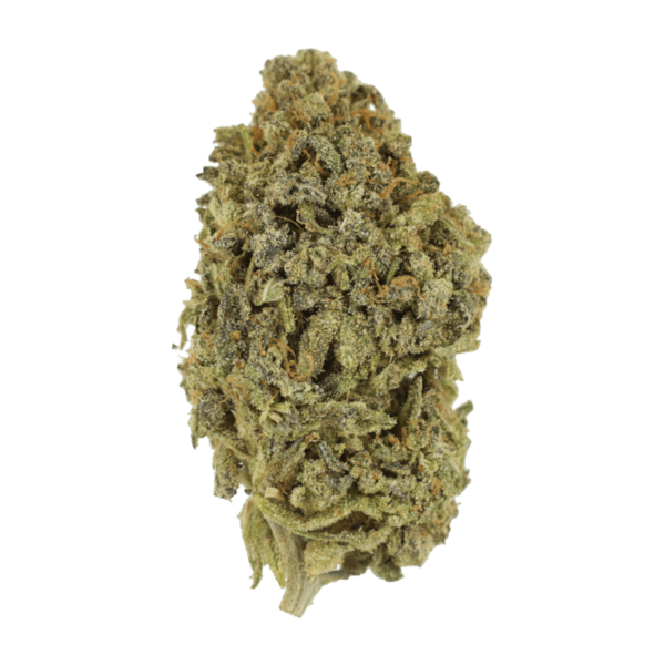 Watermelon Gelato | Coast to Coast Medicinals Canada