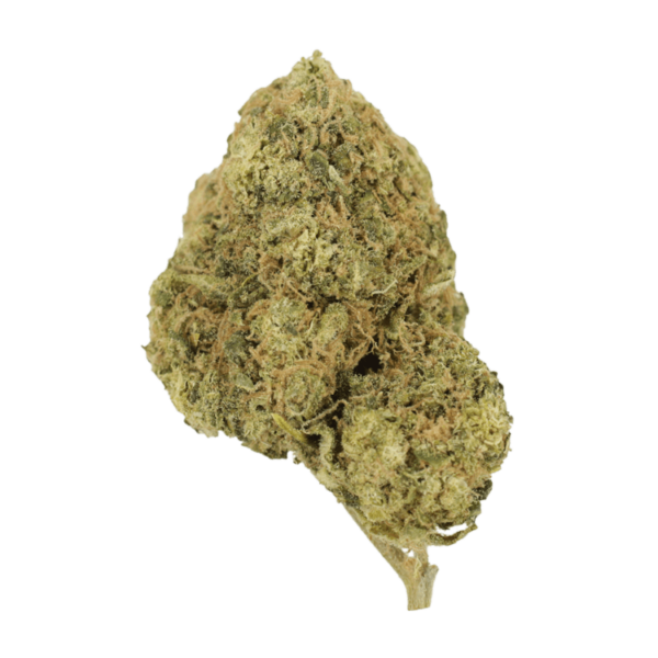 Laughing Buddha | Coast to Coast Medicinals Canada