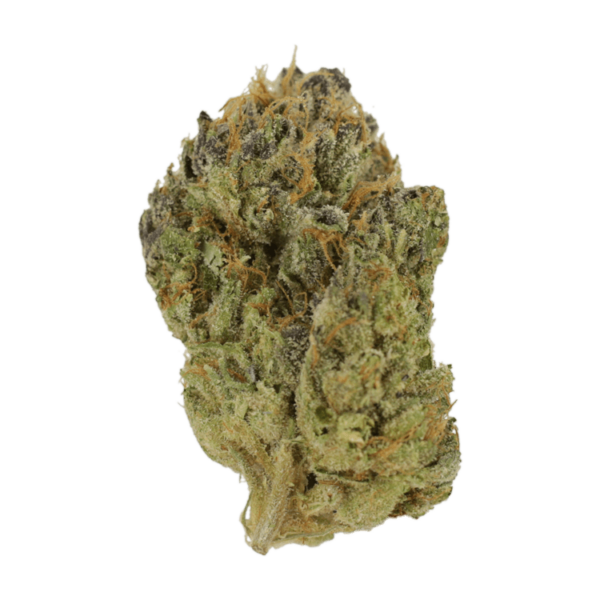 Blueberry Muffin | Coast to Coast Medicinals Canada