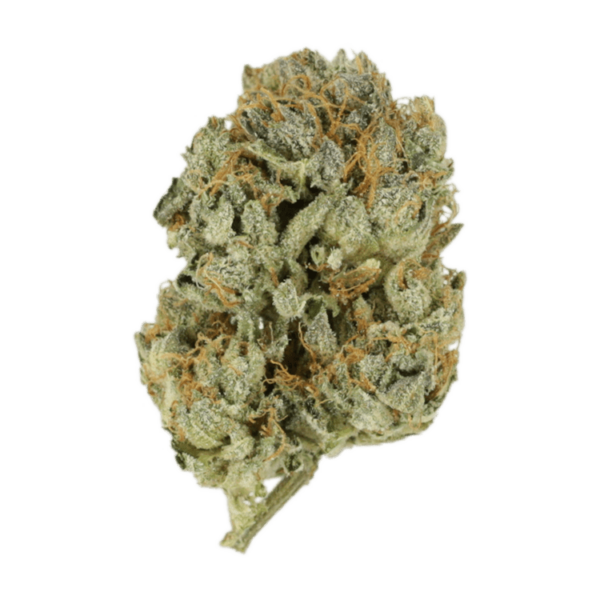 Kashmir Kush | Coast to Coast Medicinals Canada