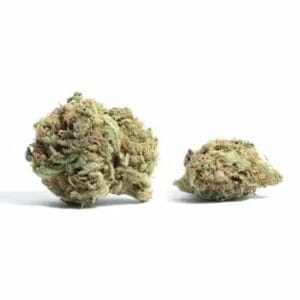 White Truffle (Popcorn) | Coast to Coast Medicinals Canada