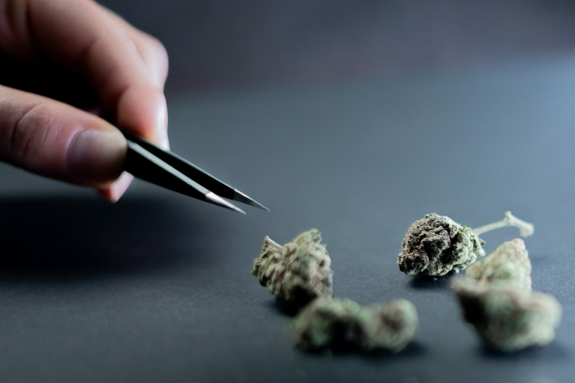 Buy cannabis Online Canada | Coast to Coast Medicinals Canada