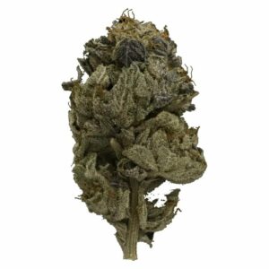 Coast to Coast Medicinals Canada - Pink Gas Strain | Coast to Coast Medicinals Canada