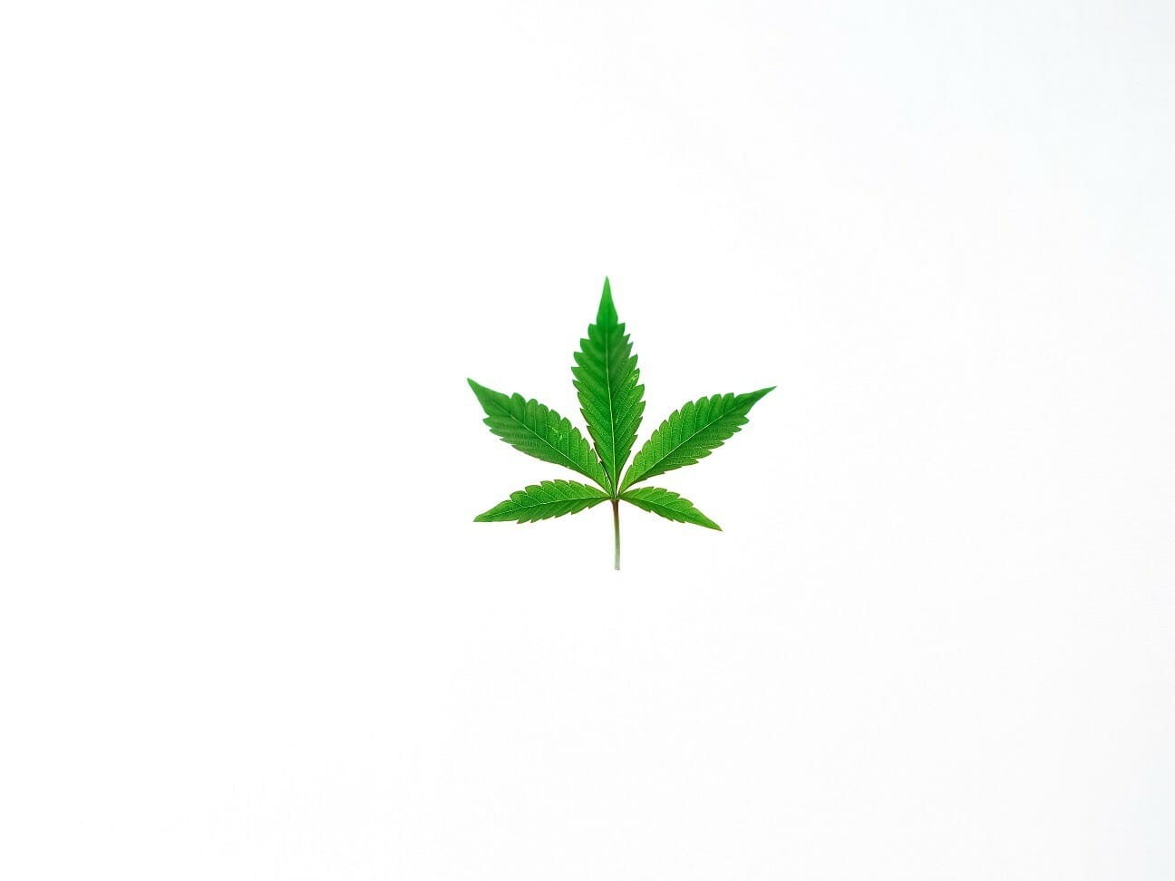 Benefits of Shopping in a BC cannabis Online Dispensary | Coast to Coast Medicinals Canada