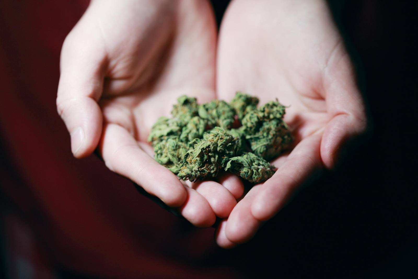 Best Dispensary in Canada | Coast to Coast Medicinals Canada