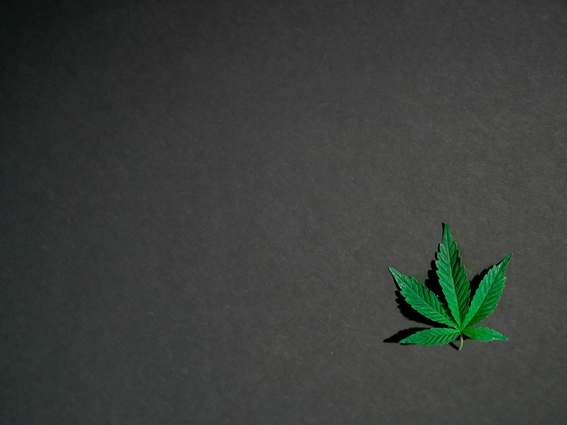Hybrid Weed | Coast to Coast Medicinals Canada