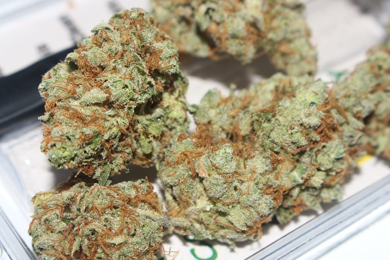 Hybrid cannabis Strains | Coast to Coast Medicinals Canada