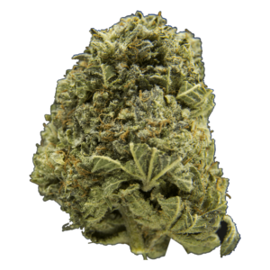 Cookies Kush | Coast to Coast Medicinals Canada