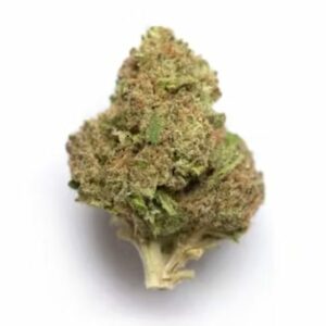 Supersonic | Coast to Coast Medicinals Canada