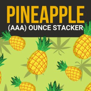 Pineapple 1 OZ Kit | Coast to Coast Medicinals Canada